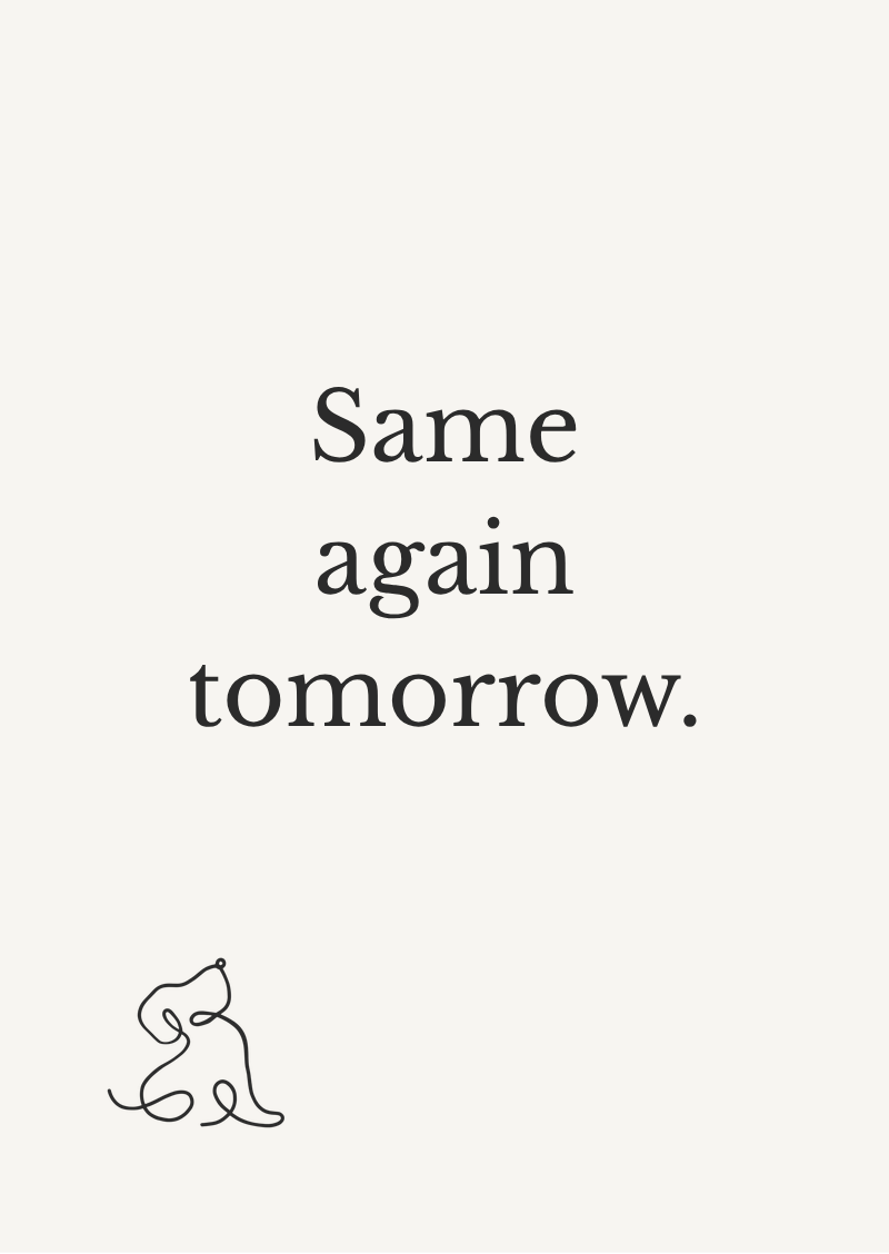Card: Same again tomorrow.